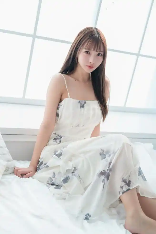 《海蒂和爷爷》封面