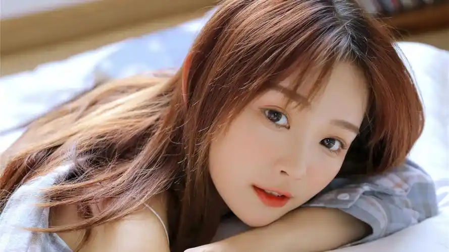 《小森林》封面